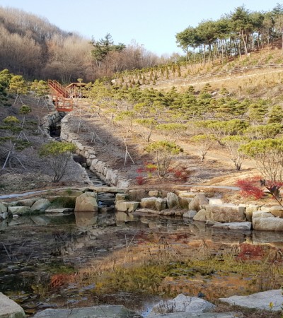 생태연못