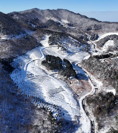 수목장 설경