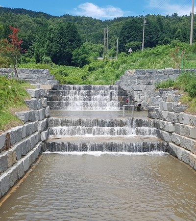 사방댐