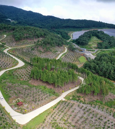 수목장림 전경